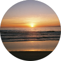 user_profile